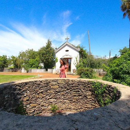 Quinta Da Aldeia De Avanca Екстериор снимка